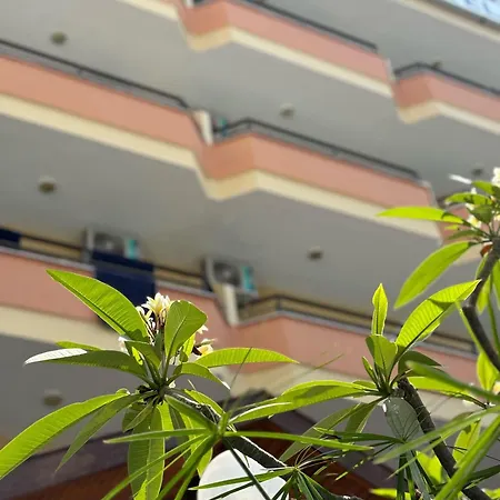 克列奥帕特拉米拉酒店 酒店